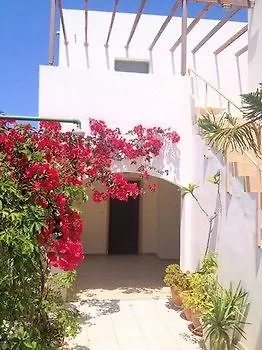 Oleander Platanias